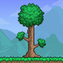 Test Android Terraria