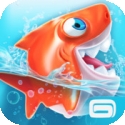 Shark Dash sur iPhone / iPad