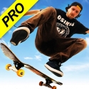 Skateboard Party 3 ft. Greg Lutzka sur iPhone / iPad