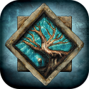 Test Android de Icewind Dale: Enhanced Edition