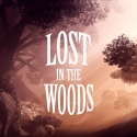 Lost In The Woods - Adventure Game