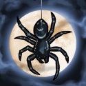 Spider: Rite of the Shrouded Moon sur Android