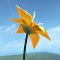 Test iOS (iPhone / iPad) Flower